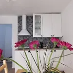 Vacation Kovachnica Holiday home *
